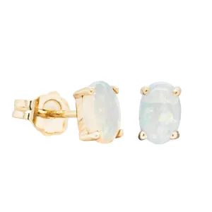 14ct Yellow Gold Opal Stud Earrings