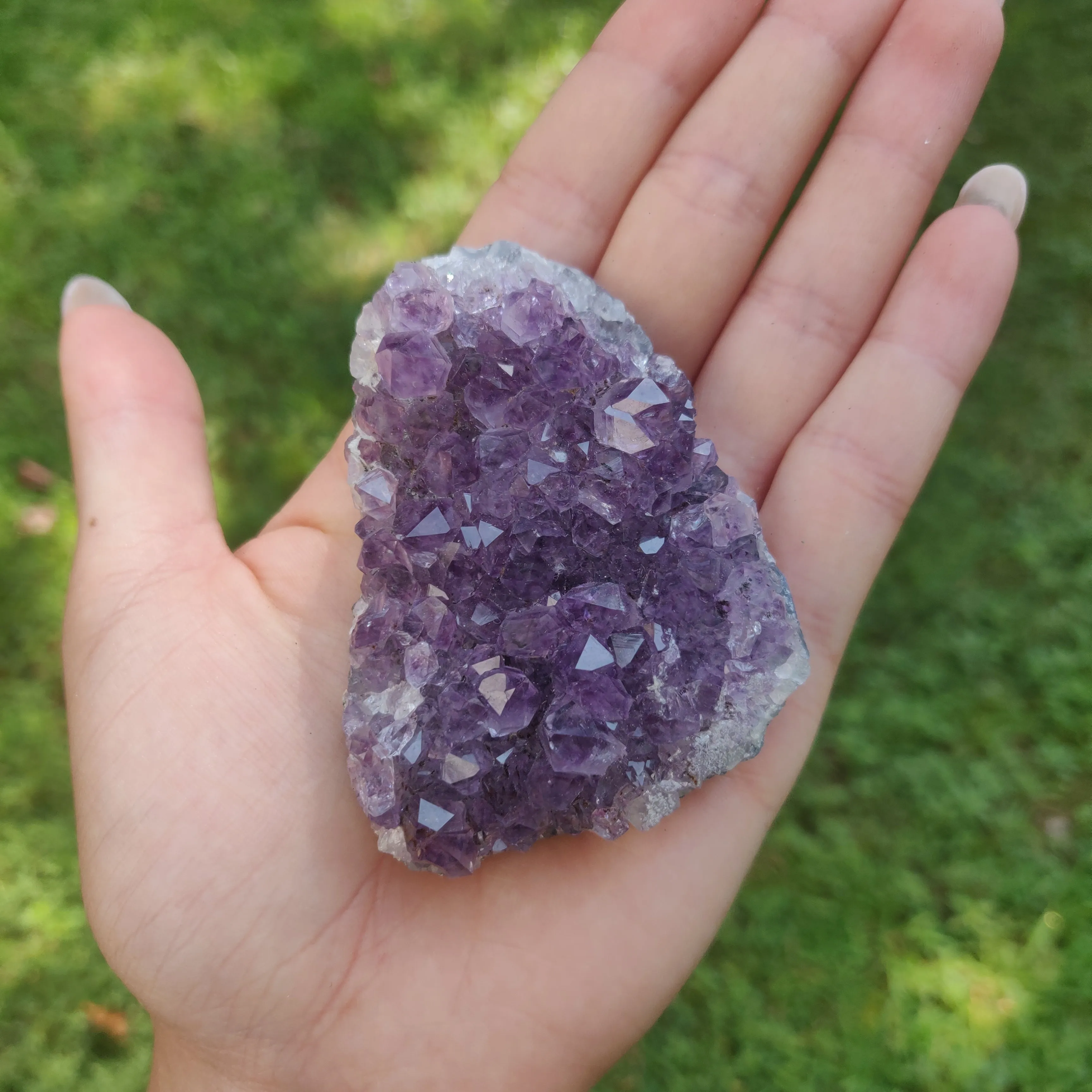 Amethyst Cluster (#10C)