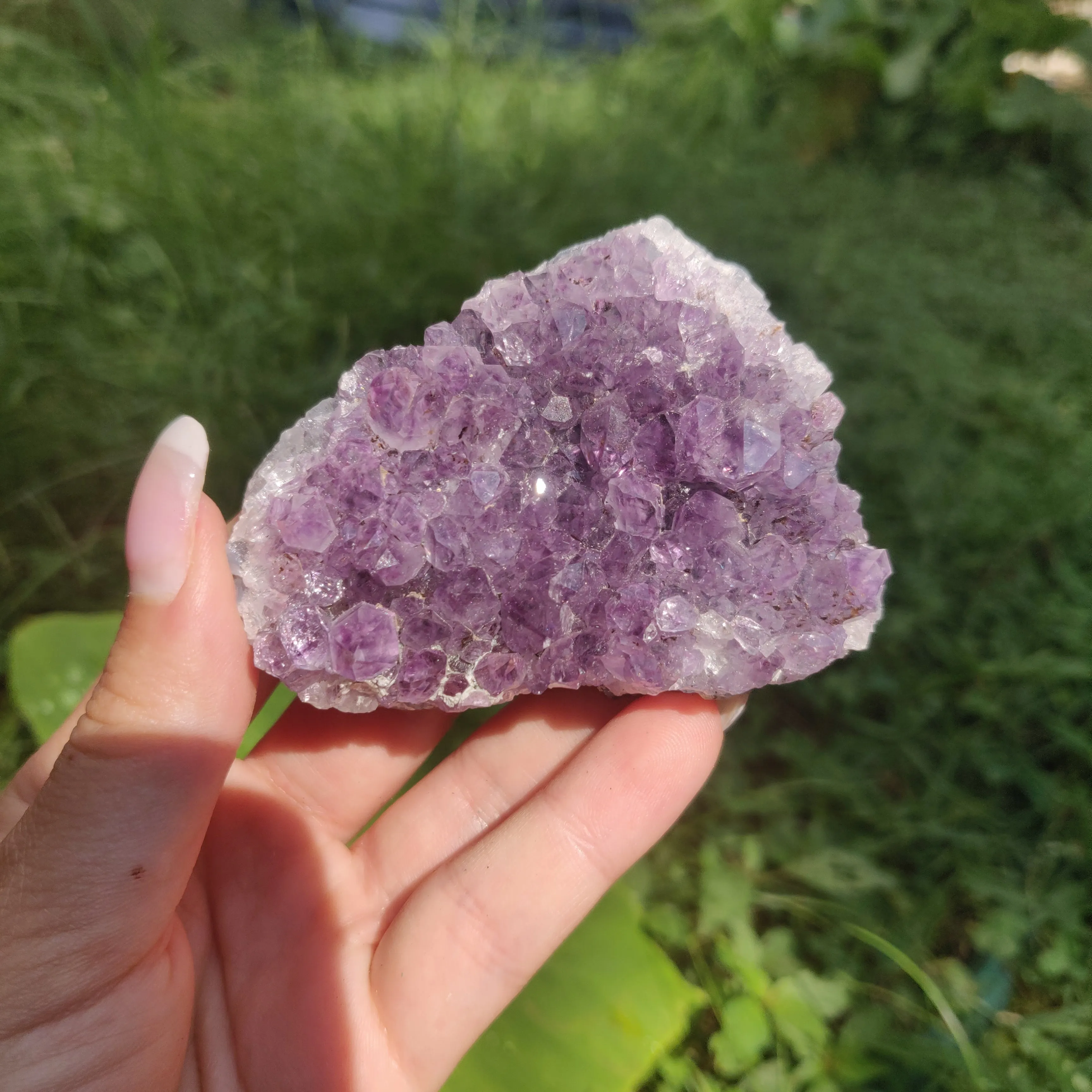 Amethyst Cluster (#10C)