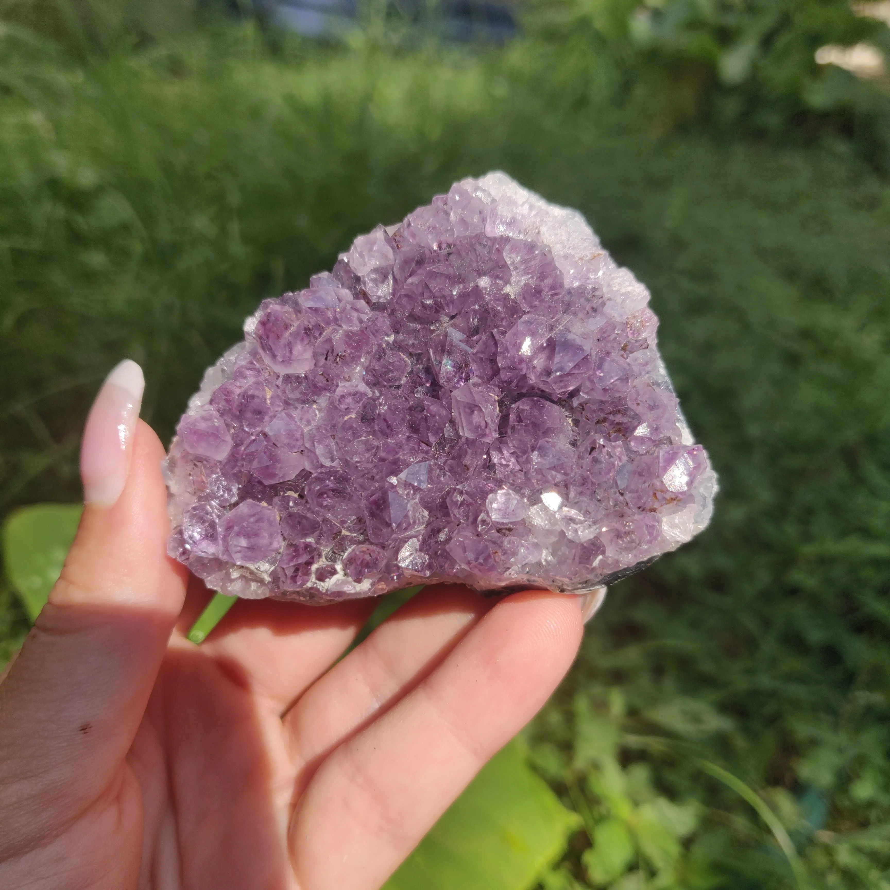 Amethyst Cluster (#10C)