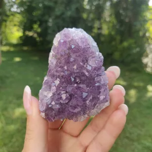 Amethyst Cluster (#10C)