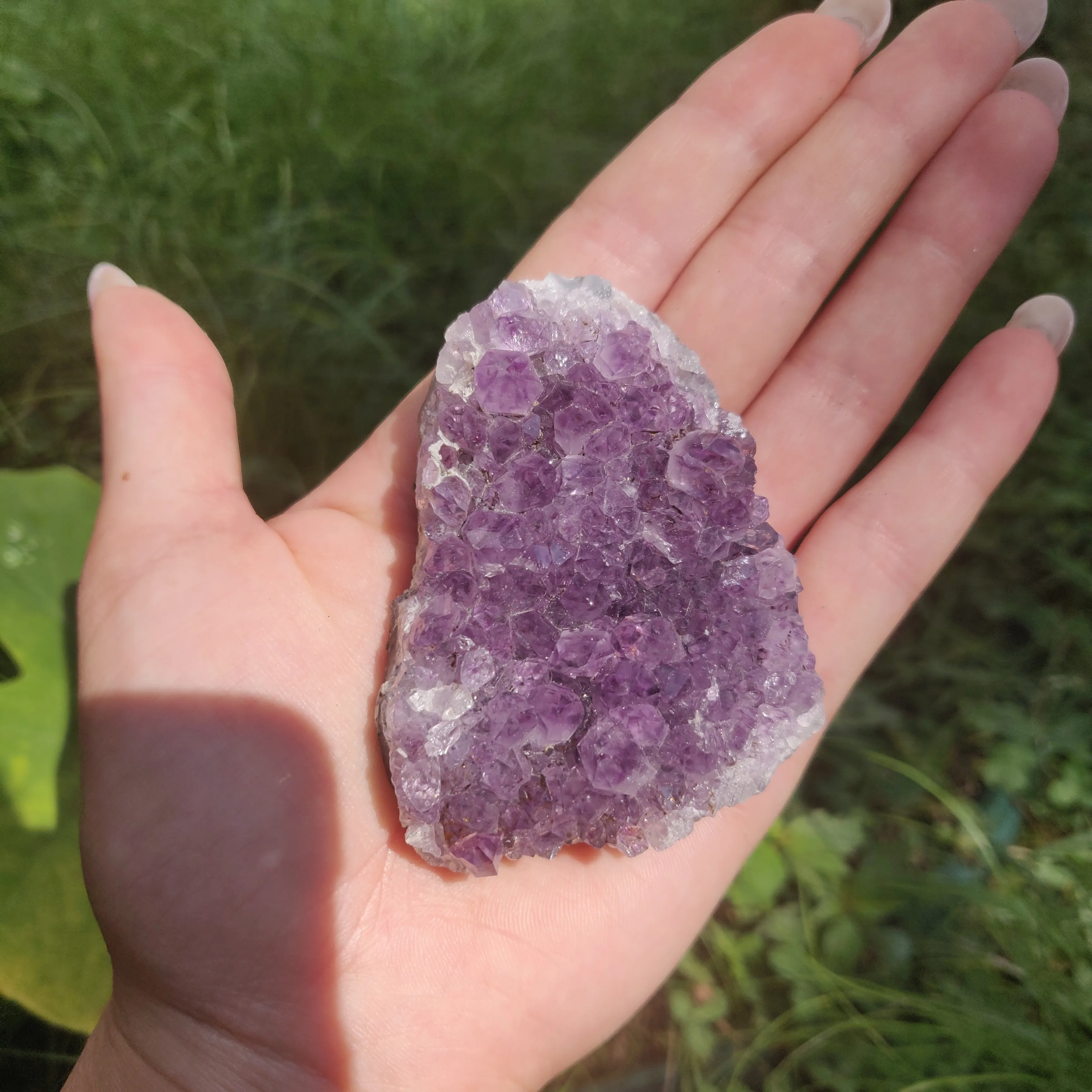 Amethyst Cluster (#10C)