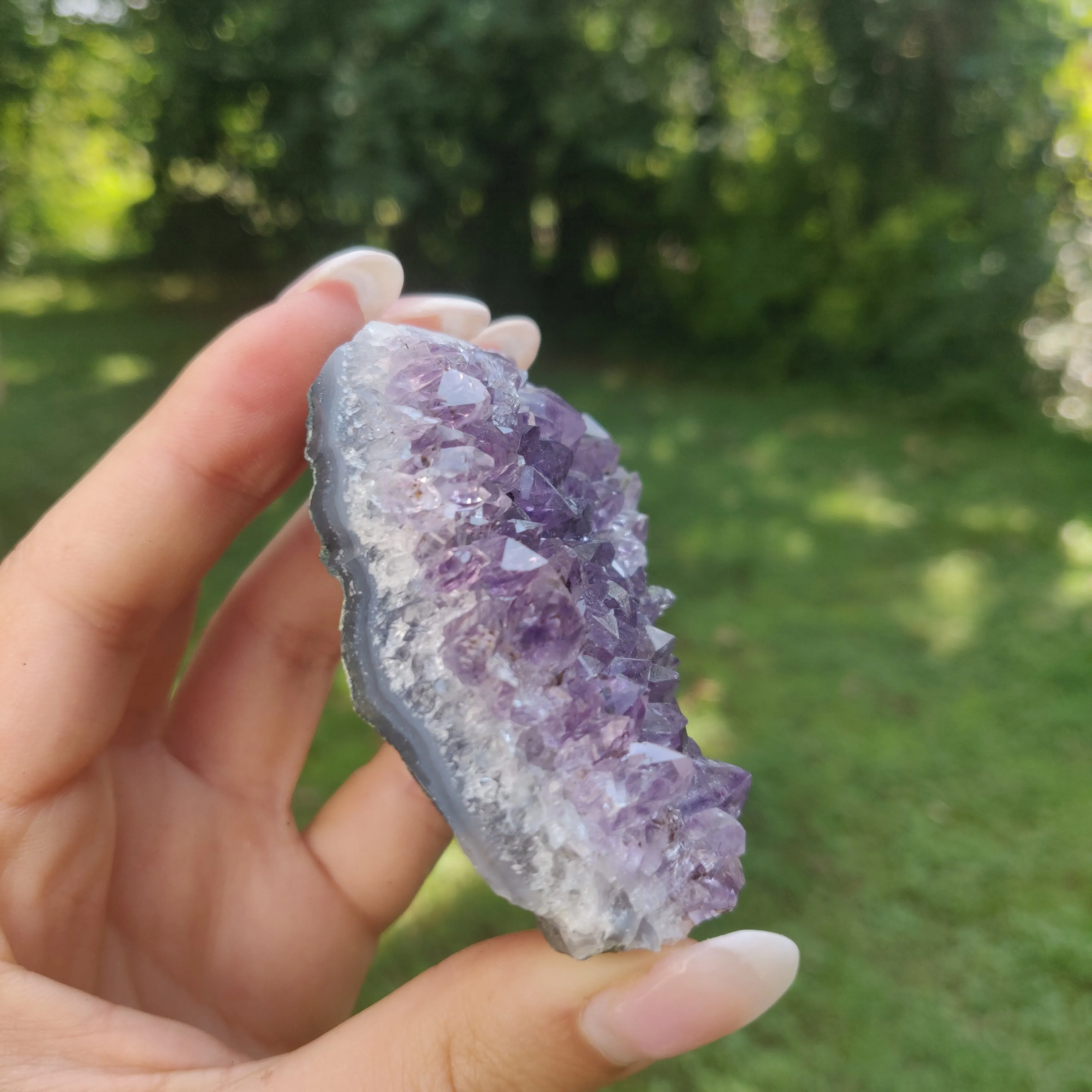Amethyst Cluster (#10C)