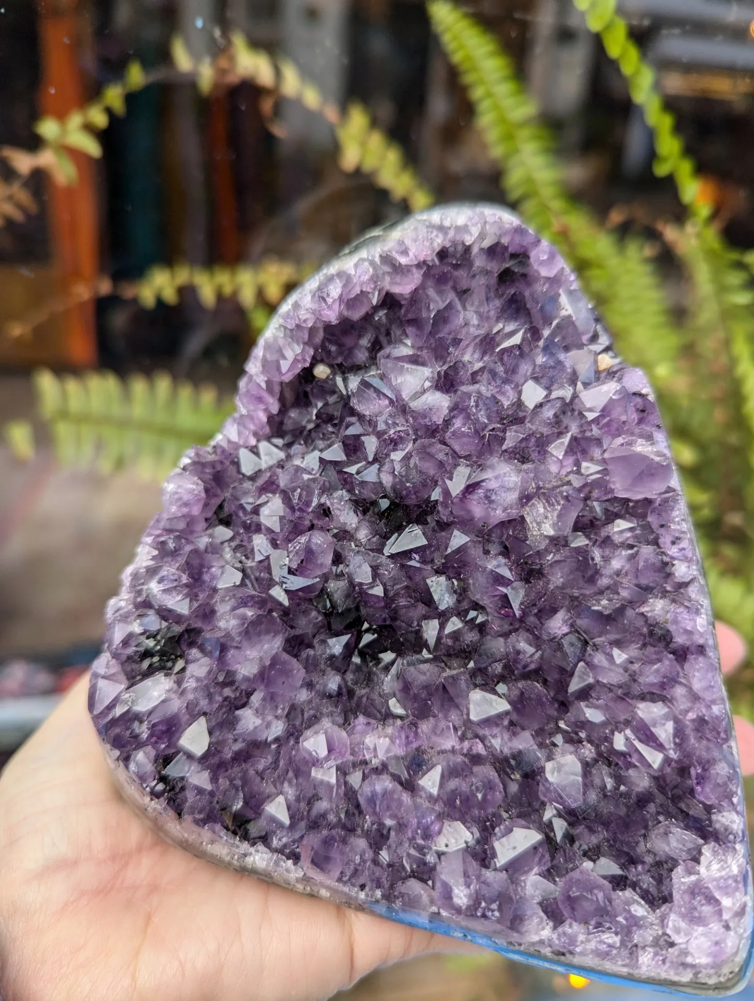 Amethyst Cluster Speciman
