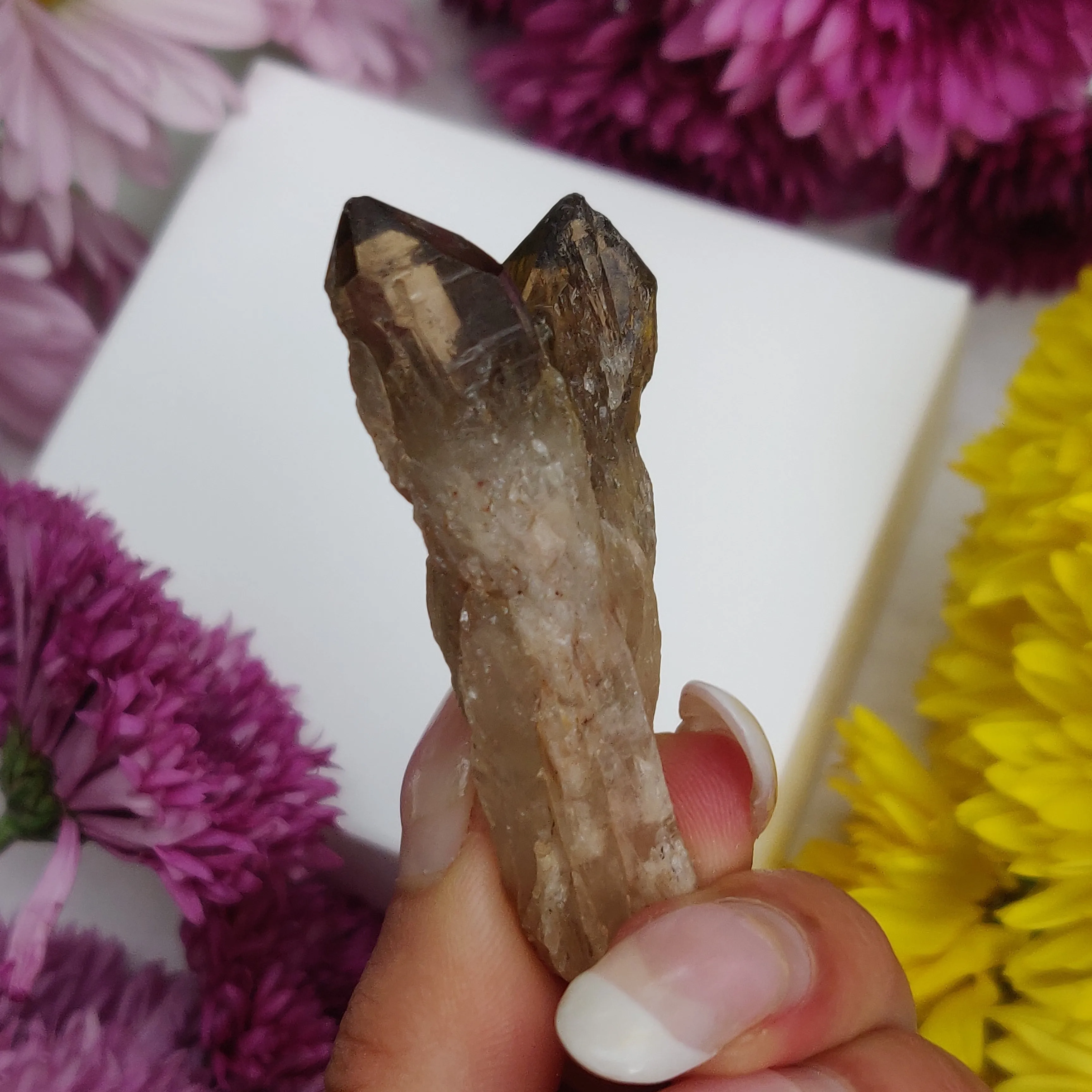 Congo Citrine Point (#4)