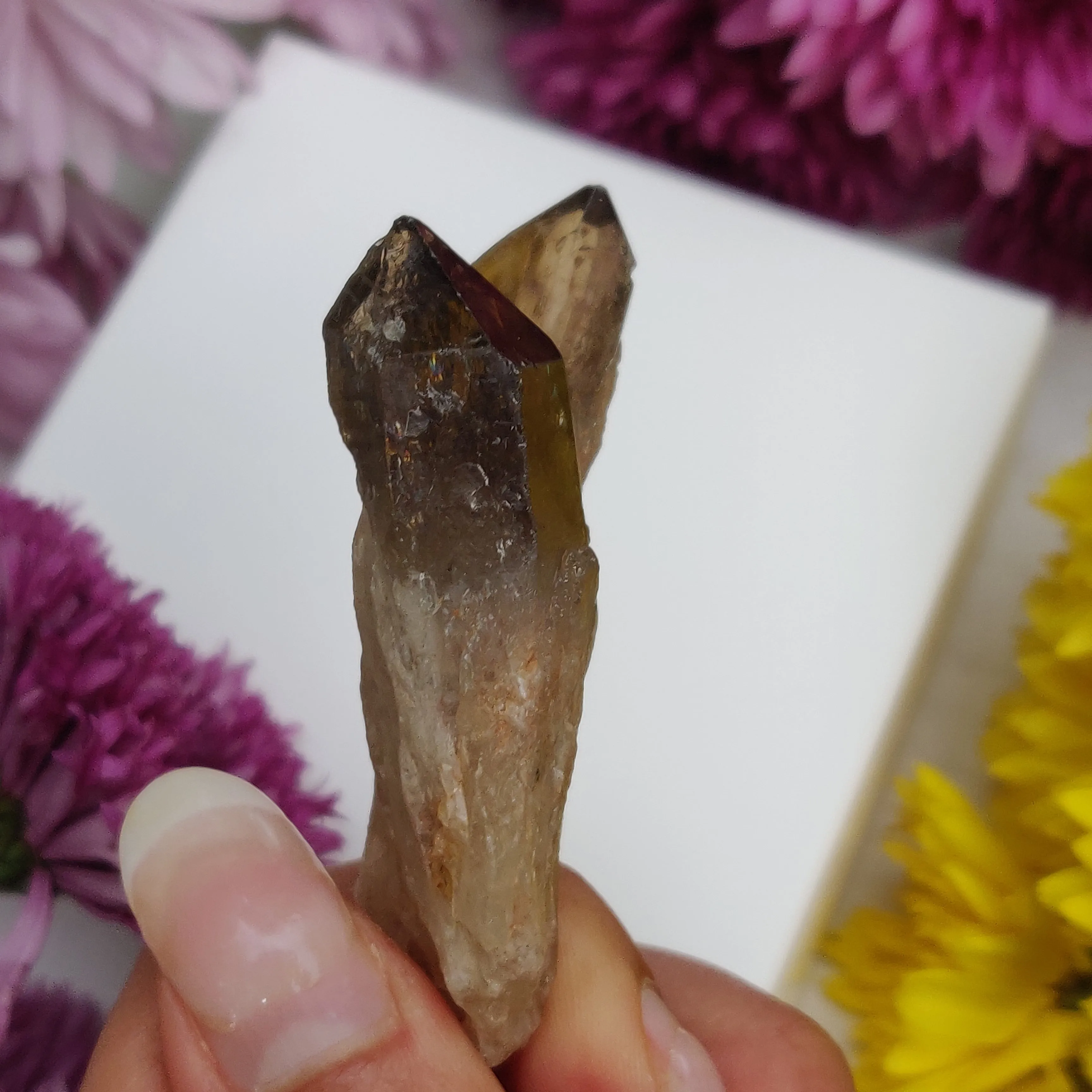 Congo Citrine Point (#4)