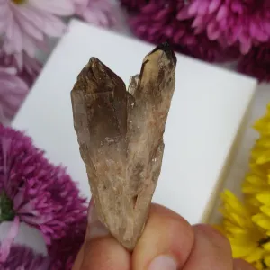 Congo Citrine Point (#4)
