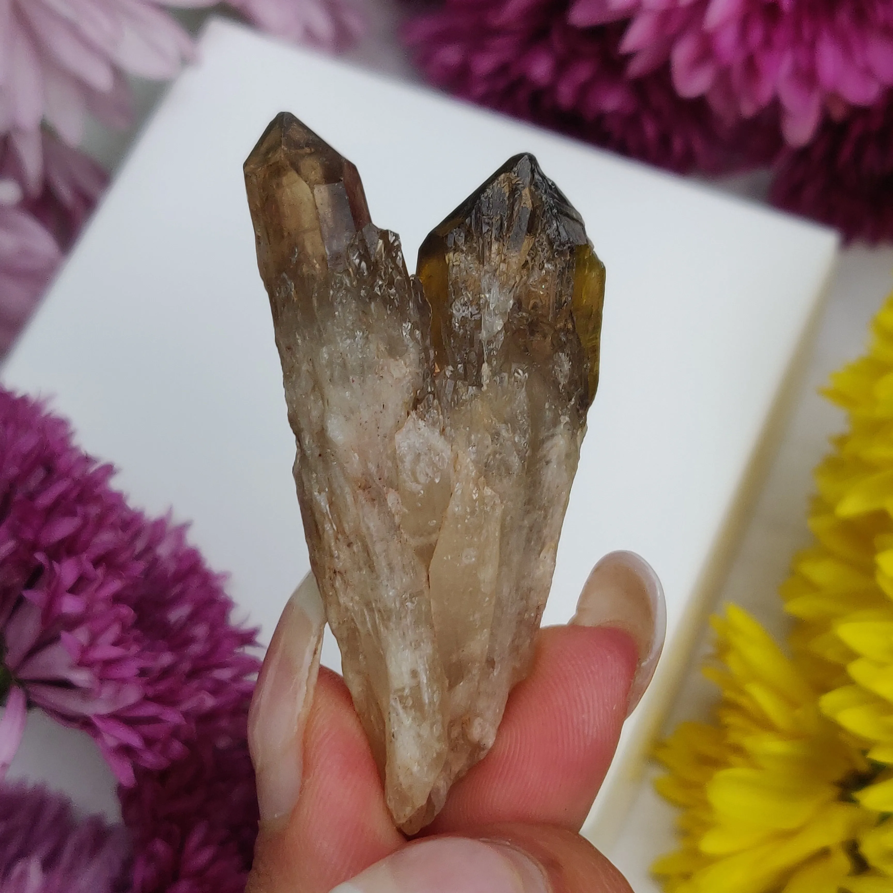 Congo Citrine Point (#4)
