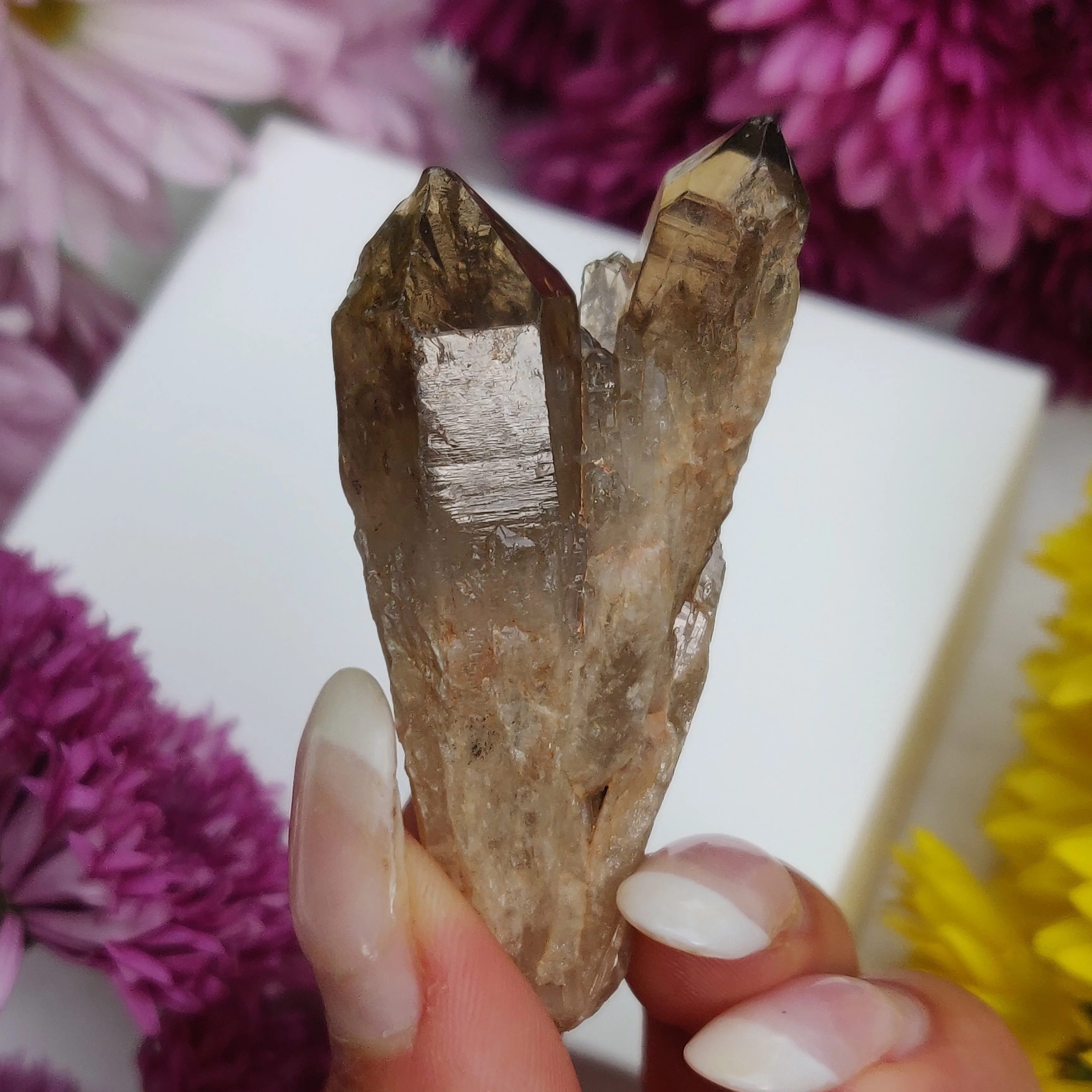 Congo Citrine Point (#4)