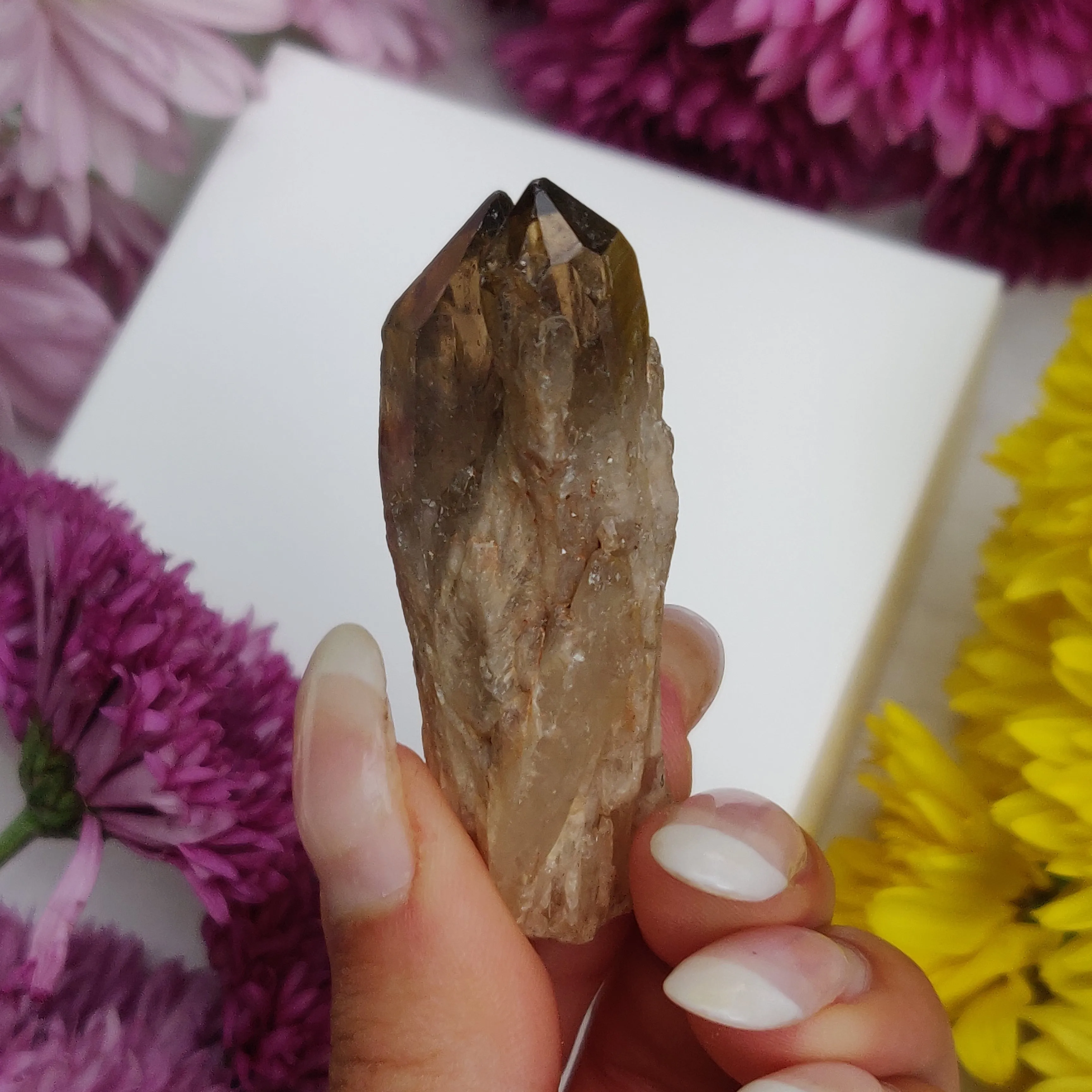 Congo Citrine Point (#4)