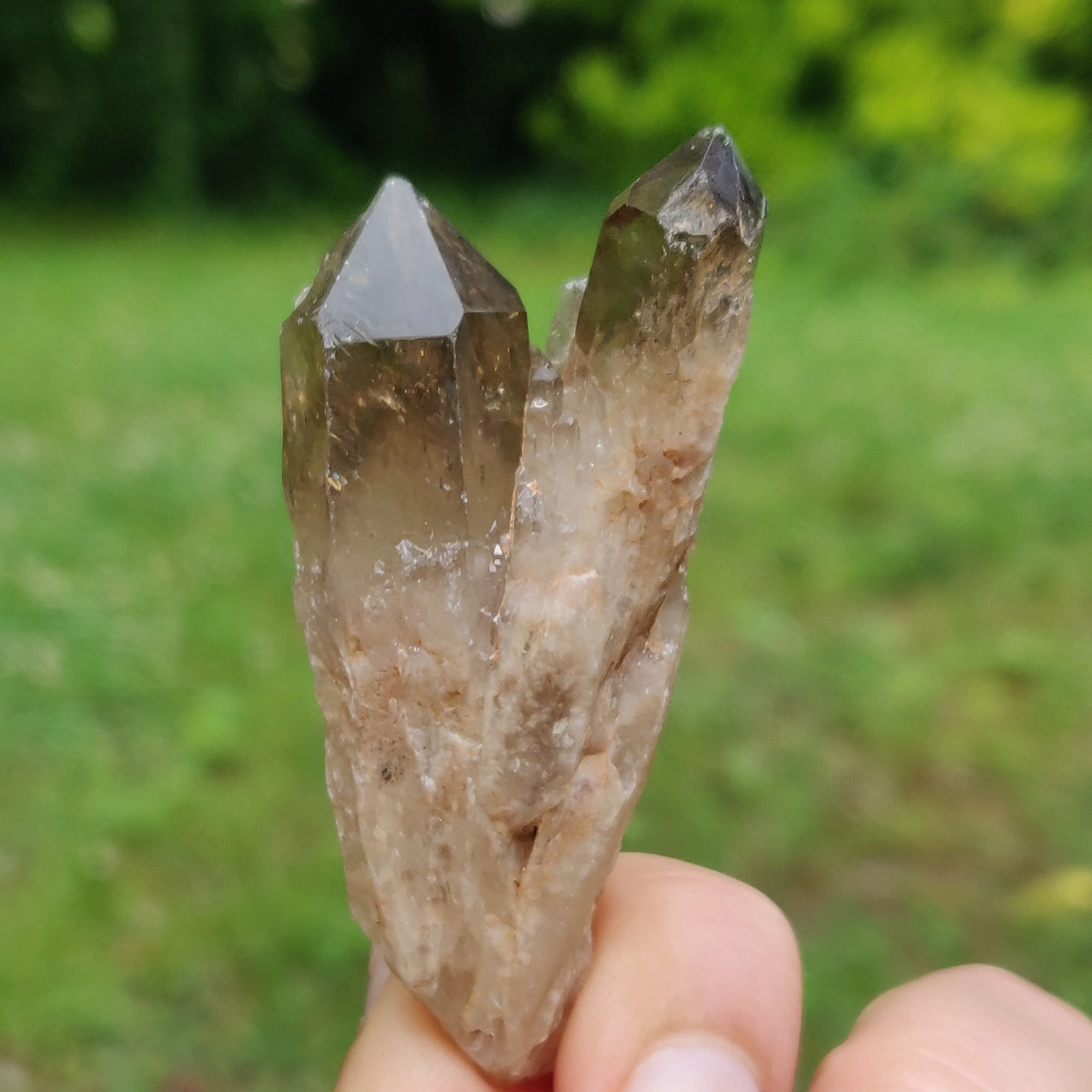 Congo Citrine Point (#4)