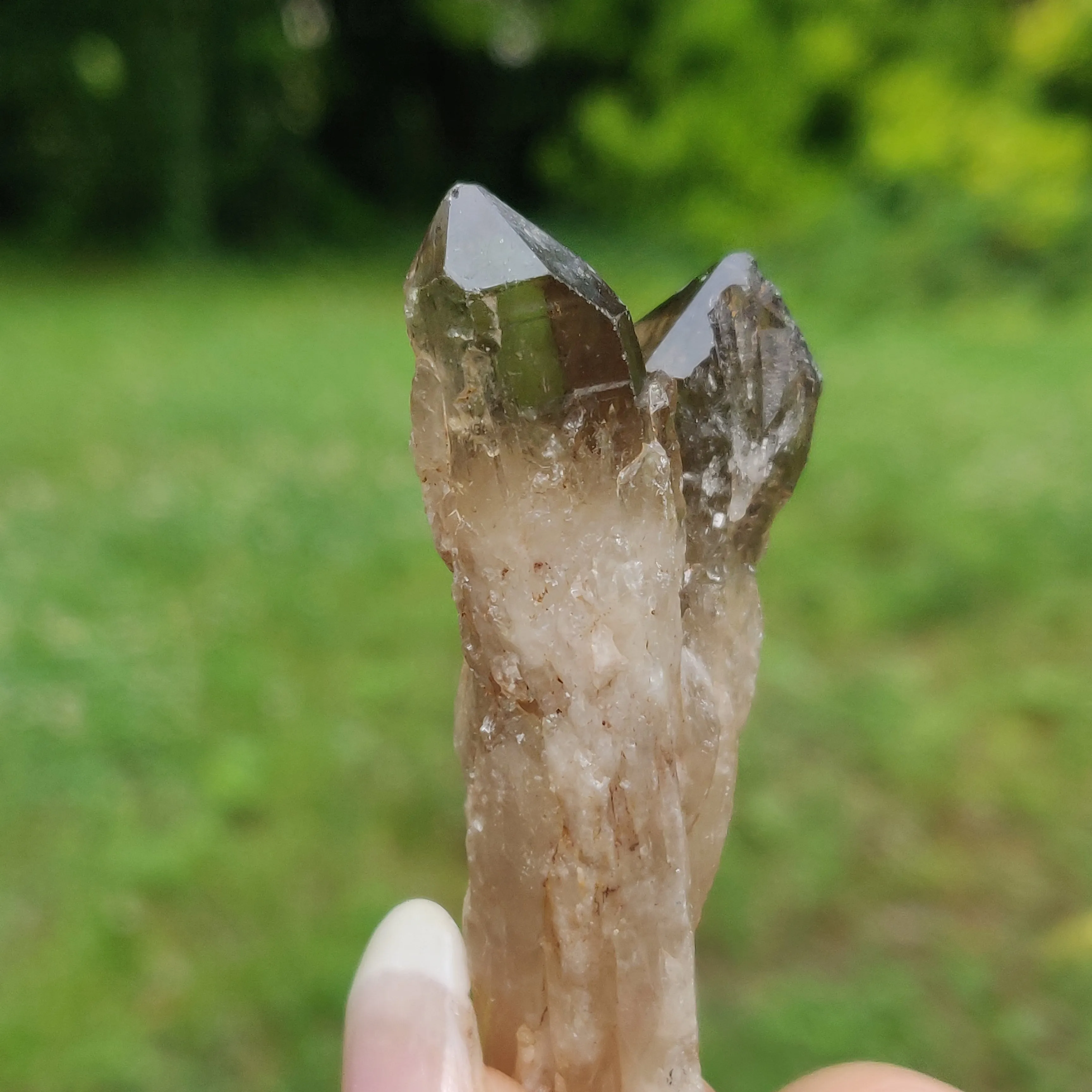 Congo Citrine Point (#4)