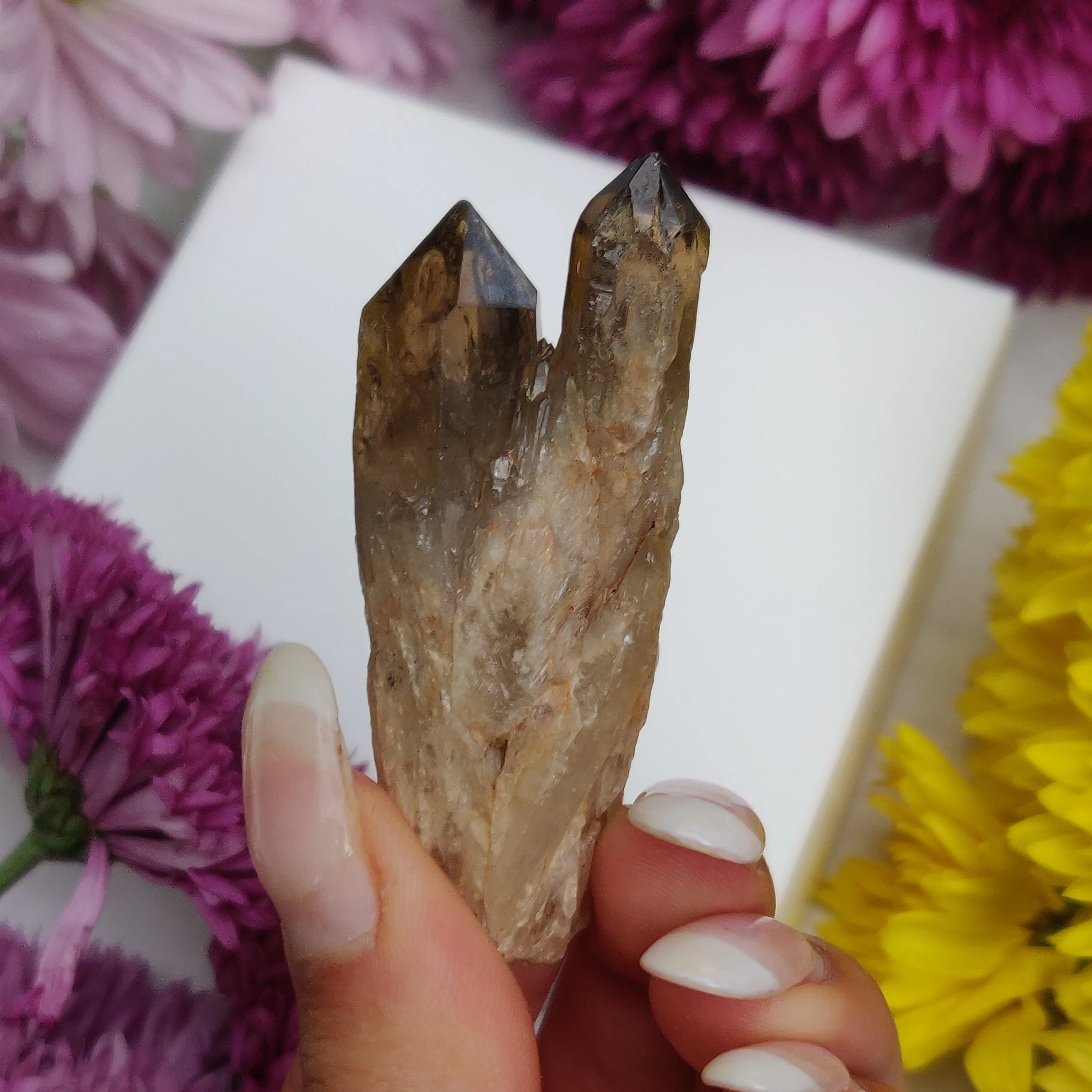 Congo Citrine Point (#4)