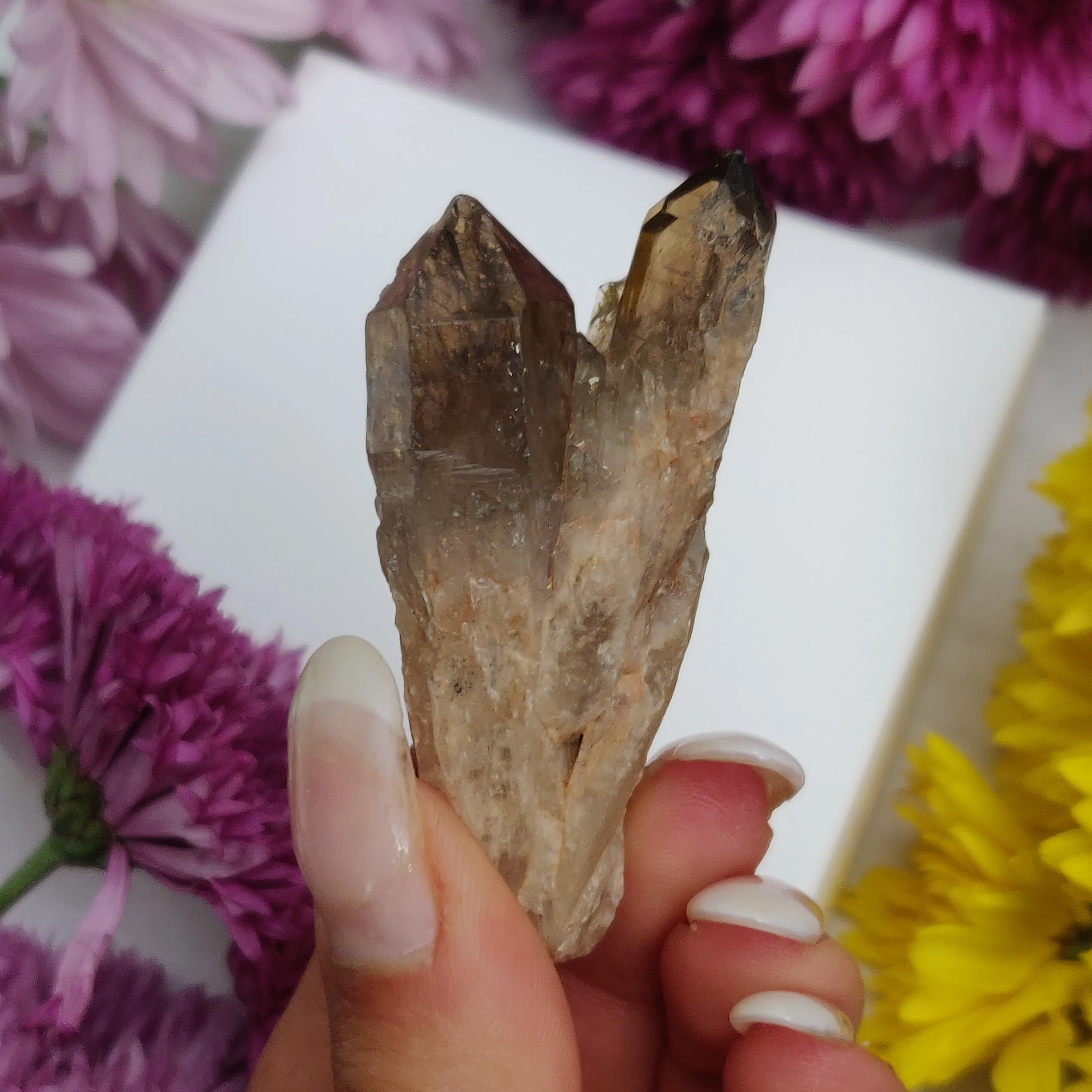 Congo Citrine Point (#4)