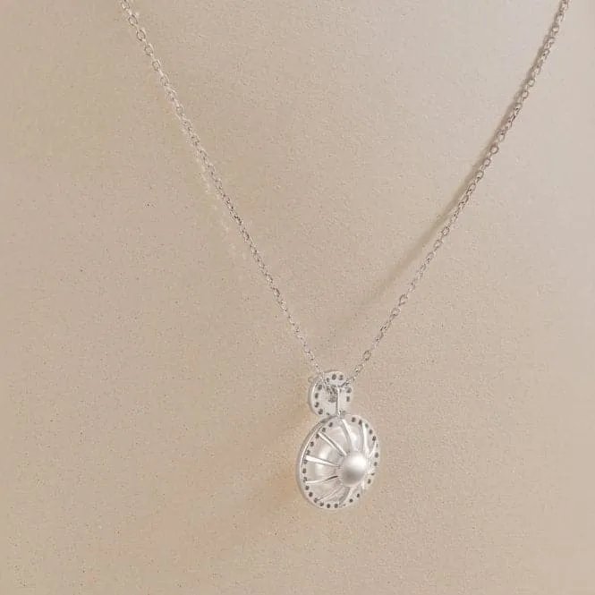 Fresh Water Pearl Dropper Necklace ERLN017
