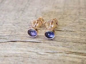 Iolite Stud Earrings 14k Gold