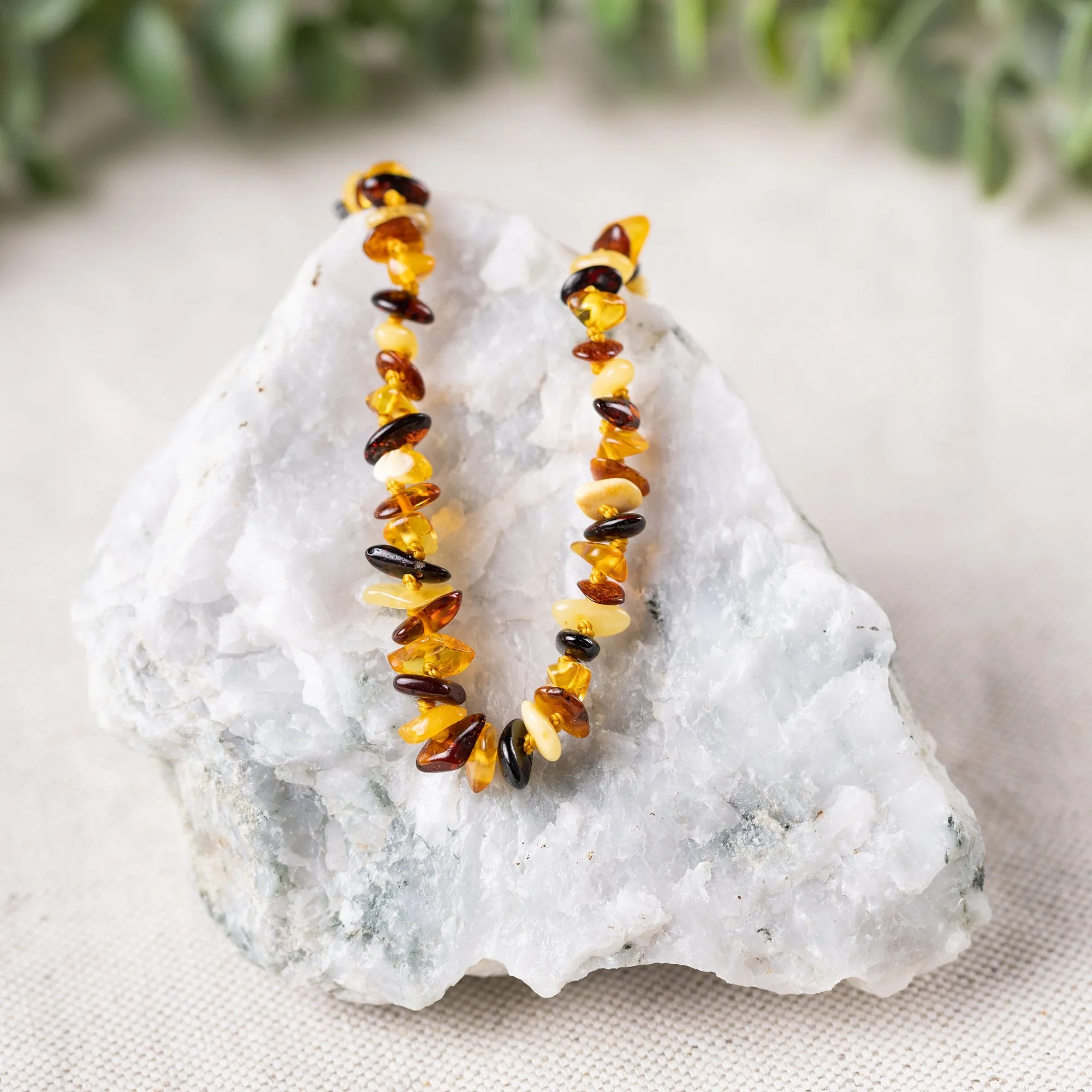 Kids | Multi Chip Baltic Amber Necklace