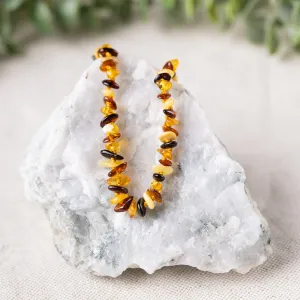 Kids | Multi Chip Baltic Amber Necklace