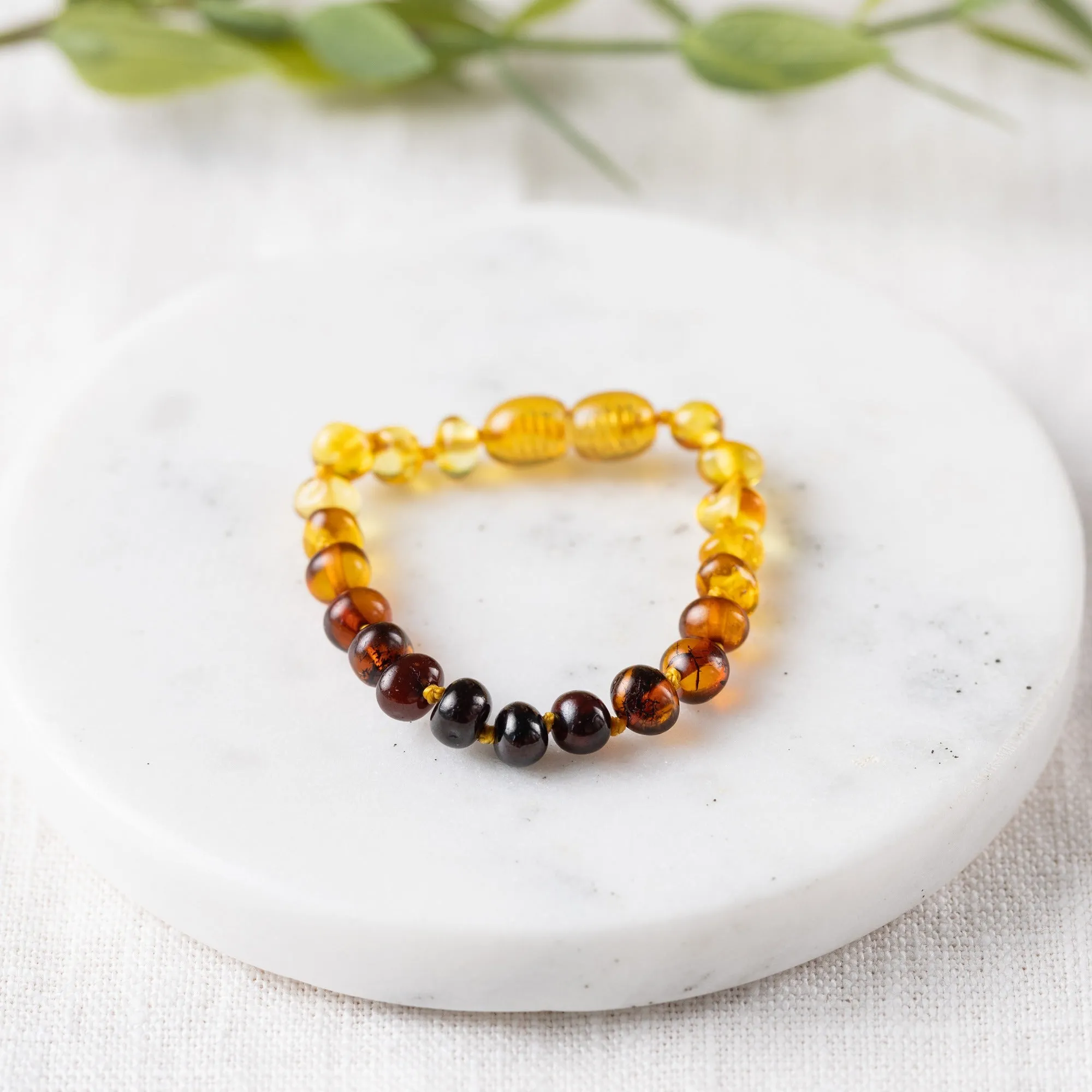 Kids | Ombre Baltic Amber Bracelet