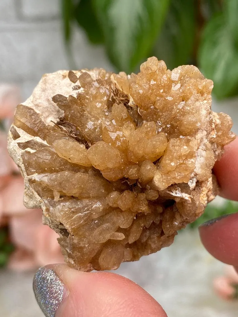 Morocco Citrine Clusters