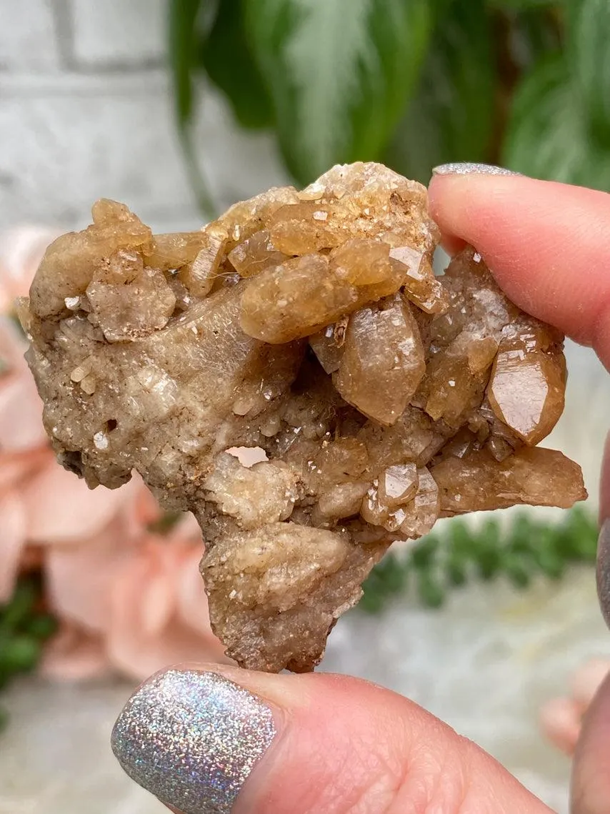 Morocco Citrine Clusters