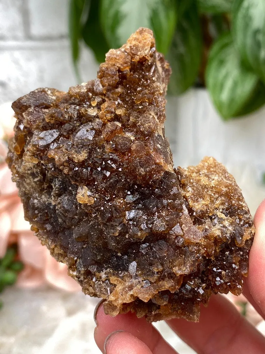 Morocco Citrine Clusters