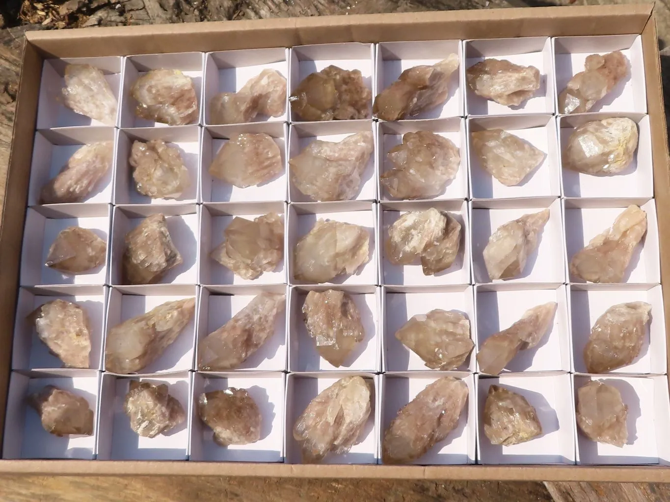 Natural Small Cascading White Phantom Smokey Quartz Crystals x 35 From Luena, Congo