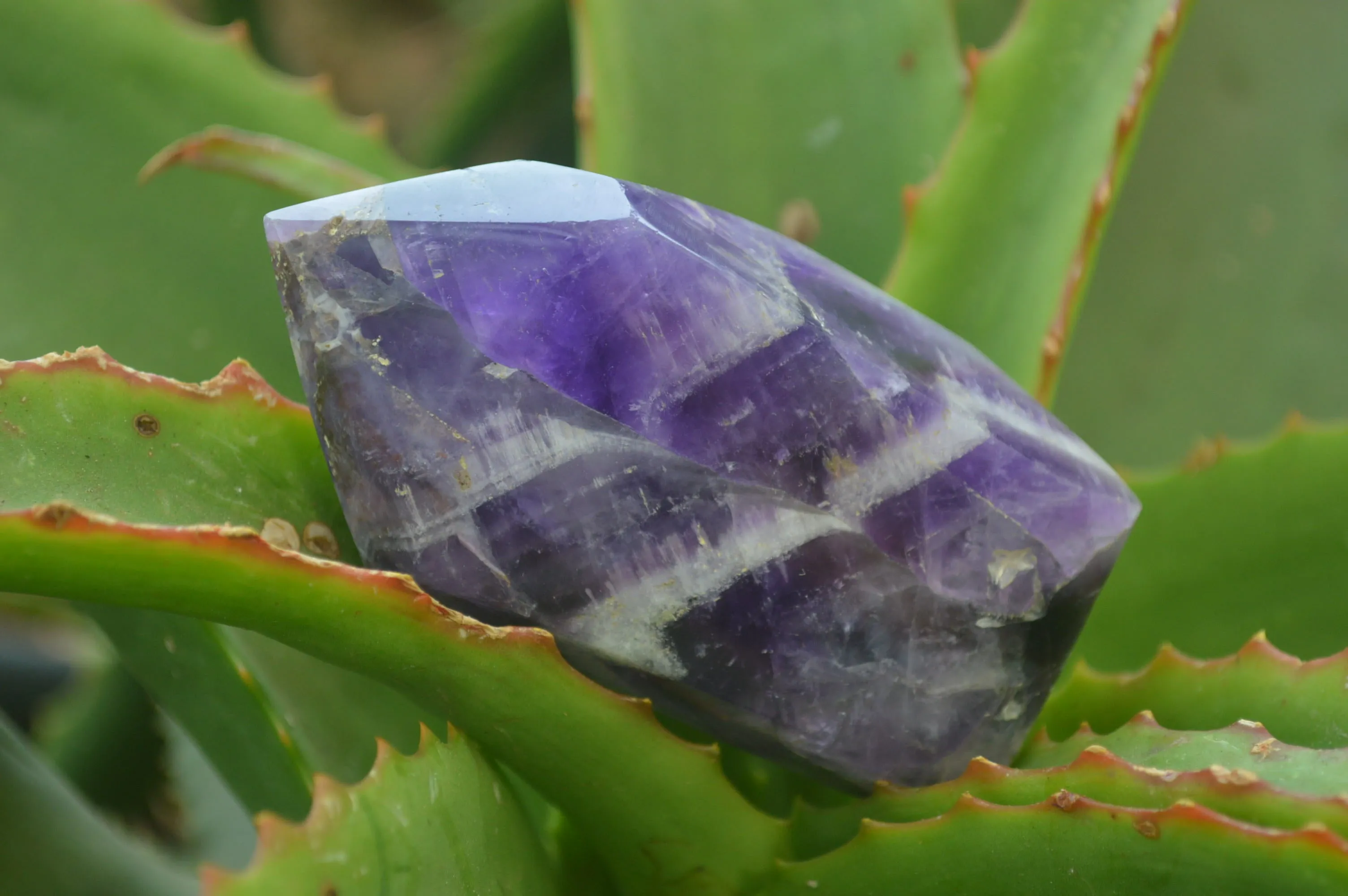 Polished Chevron Amethyst Points x 6 From Madagascar
