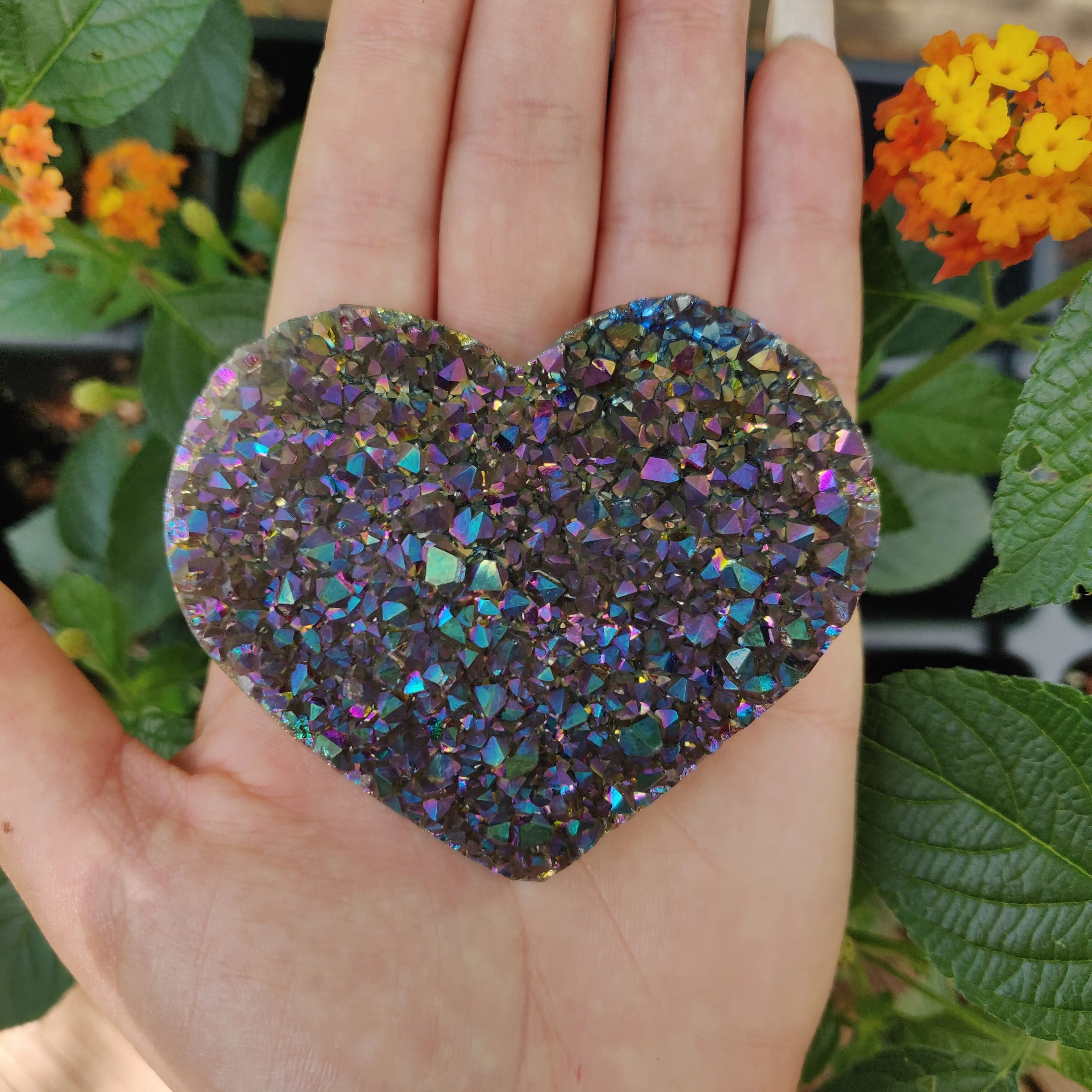 Titanium Amethyst Heart (#11)