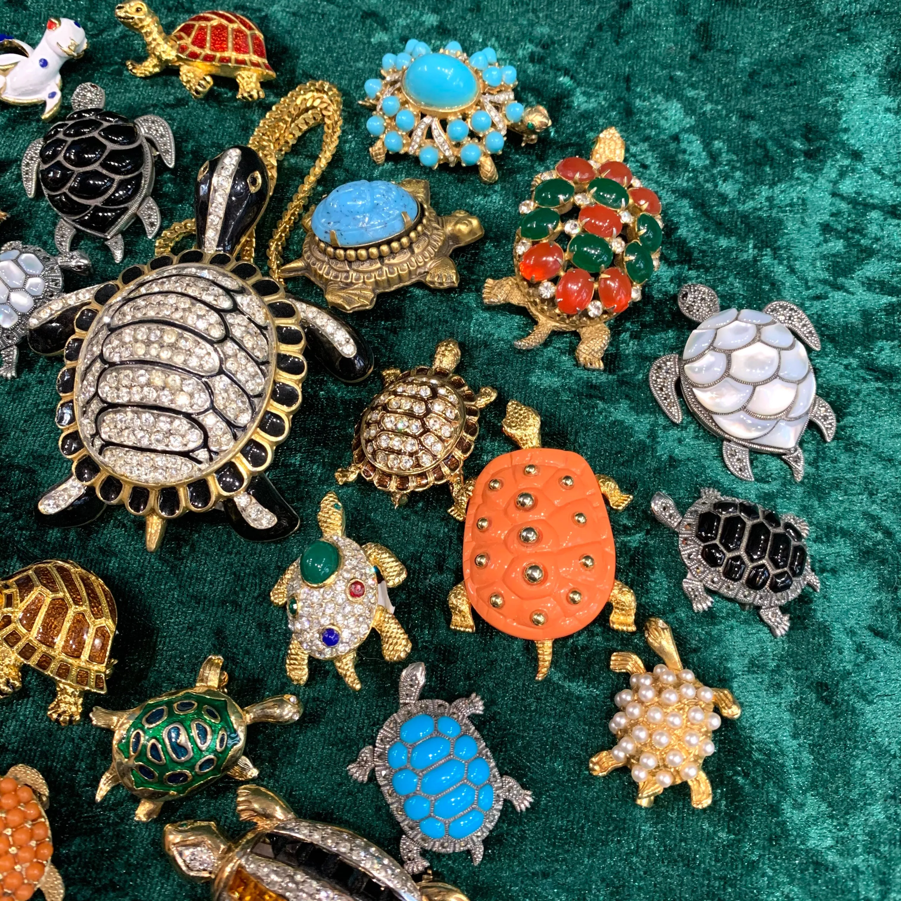 Turquoise Tortoise Brooch Silver Marcasite